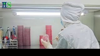 Série de membranes ELASEM® Eggshell : la solution de matière première pour la santé et la beauté des articulations