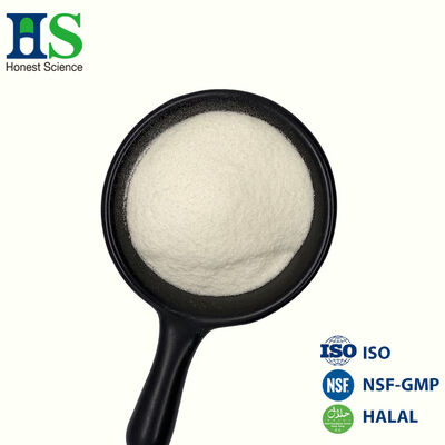 Fabricant de peptides de collagène bovin hydrolysé en vrac et fournisseur certifié halal