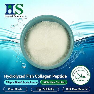 JAKIM Halal certifié Tilapia peau et peptide de collagène à l'échelle poudre de matière première fabricant de collagène marin hydrolysé