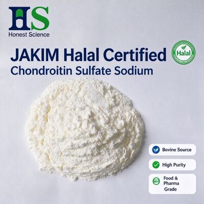 JAKIM Halal Certified Bovine Chondroitin Sulfate Sodium | USP Grade Powder